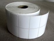 Etichette della manica degli strizzacervelli dello spazio in bianco del Libro Bianco su misura stampate negli autoadesivi della stampante del rotolo